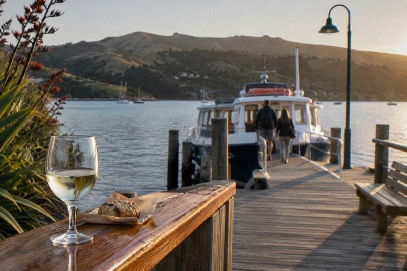 Akaroa Dolphins 2-Hour Harbour Cruise