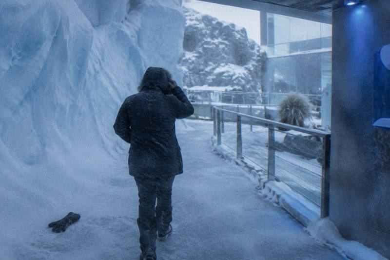 Antarctic Centre General Admission