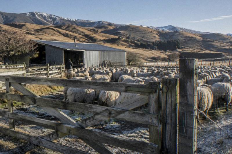 Sheep Farm, Lunch and Winery